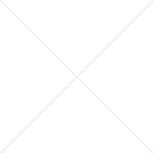 Apple iPad Air