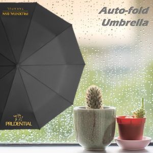Auto-Fold Umbrella x 4