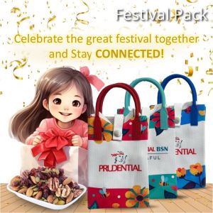 Festival Pack